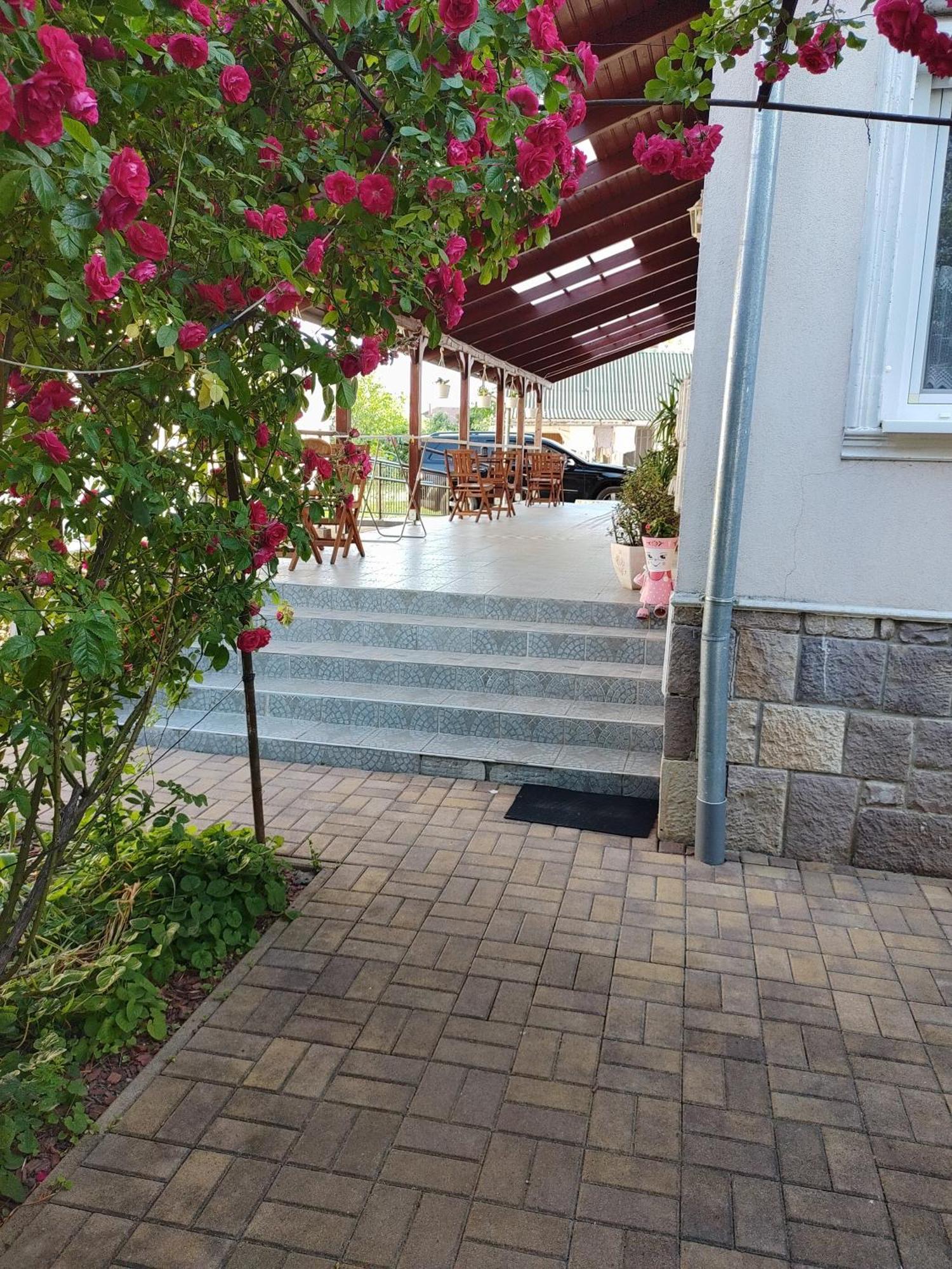 Berta Panzio Bed & Breakfast Hajduszoboszlo Luaran gambar